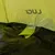 Preview for image 9