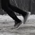 Preview for image 1