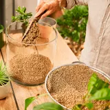 Субстрат COMPO BIO GRANUPLANT для кімнатних рослин, 3 л