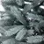 Preview for image 9