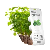 Картридж для розумної фермы Click&Grow, Яблучна м'ята