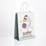 Набор подарочных пакетов из бумаги 12 (шт) Happy Birthday картонные красивые пакеты для подарков 15×8×21 (см) Мятный HP-10359-23M