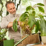 Субстрат COMPO BIO GRANUPLANT для комнатных растений, 6 л