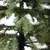 Preview for image 8