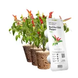 Картридж для умной фермы Click&Grow, перець чилі червоний