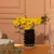 Preview for image 2