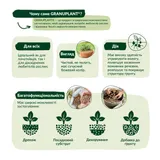 Субстрат COMPO BIO GRANUPLANT для комнатных растений, 6 л