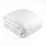 Одеяло всесезонное полиэфирное волокно (300 г/м2) Vladi 140 x 205 см