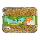 Травичка для кошек (пластиковый контейнер + искусственный грунт) 3 упаковки