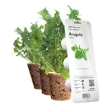 Картридж для розумної фермы Click&Grow, Рукола