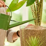 Рідке добриво COMPO BIO GRANUPLANT для рослин у гранульованому субстраті, 0,5л
