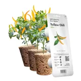 Картридж для умной фермы Click&Grow, жовтий перець чилі