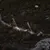 Preview for image 4